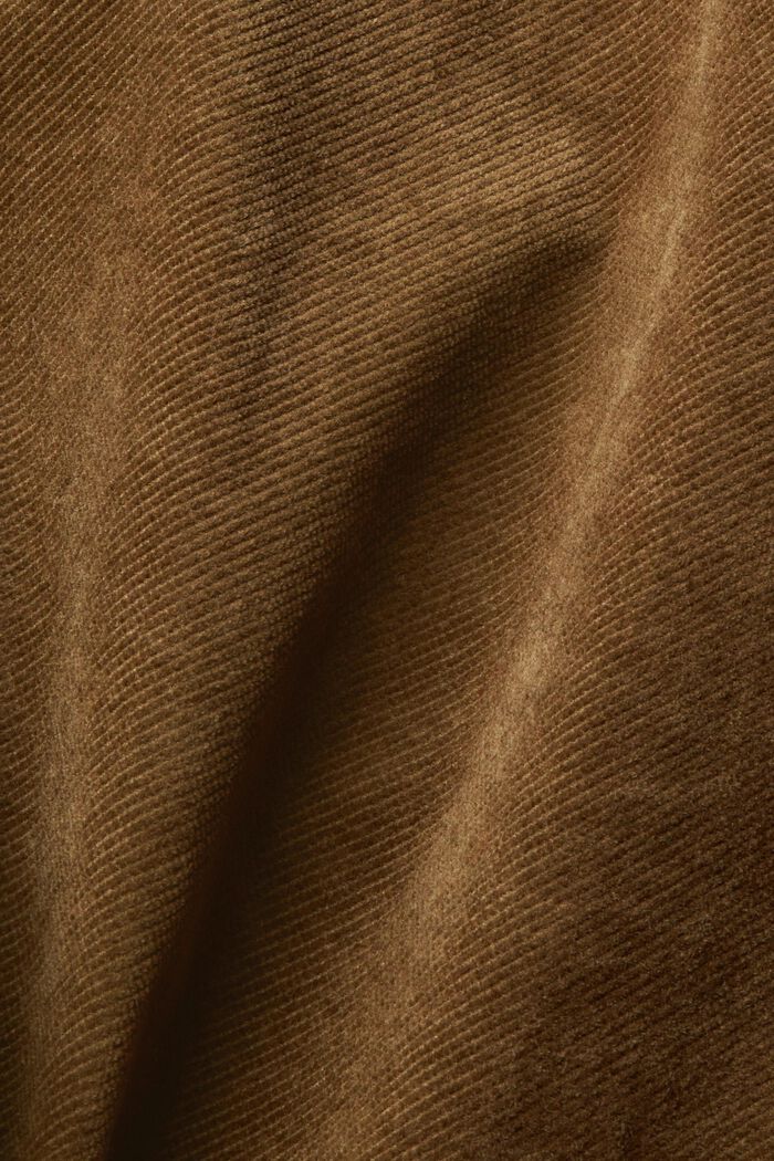 Jupe en velours côtelé de coton, DARK KHAKI, detail image number 5