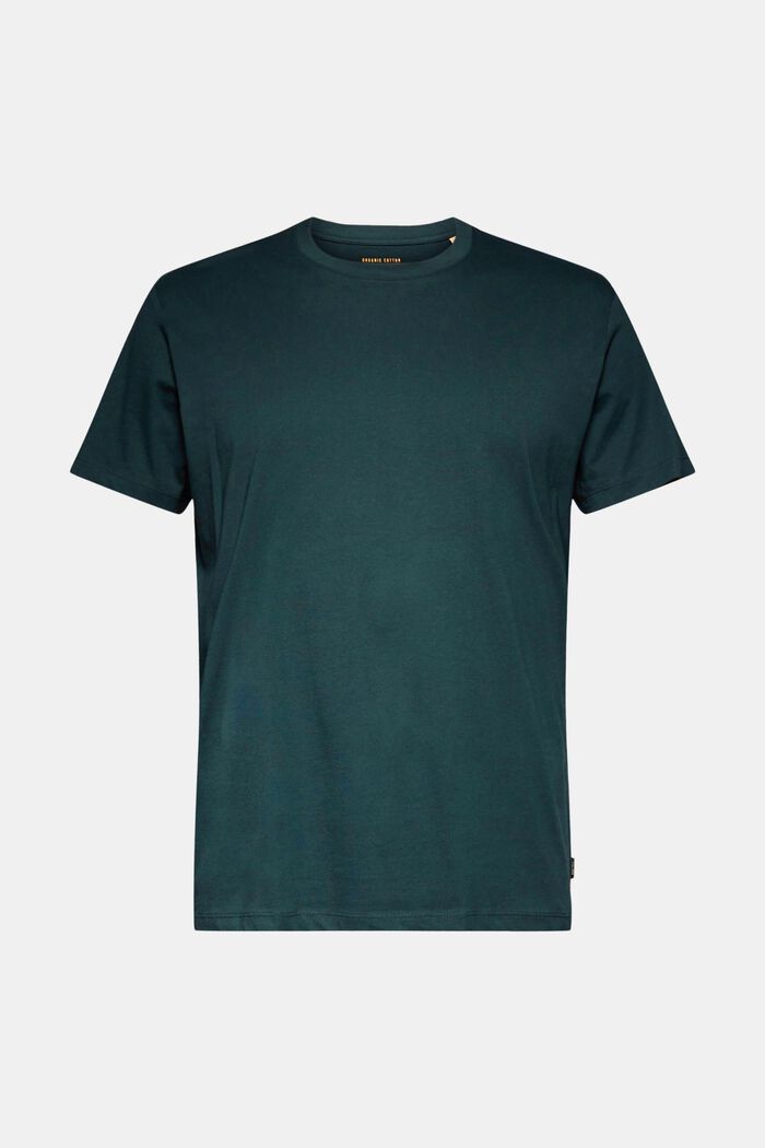 T-shirt en jersey, 100 % coton, TEAL BLUE, overview