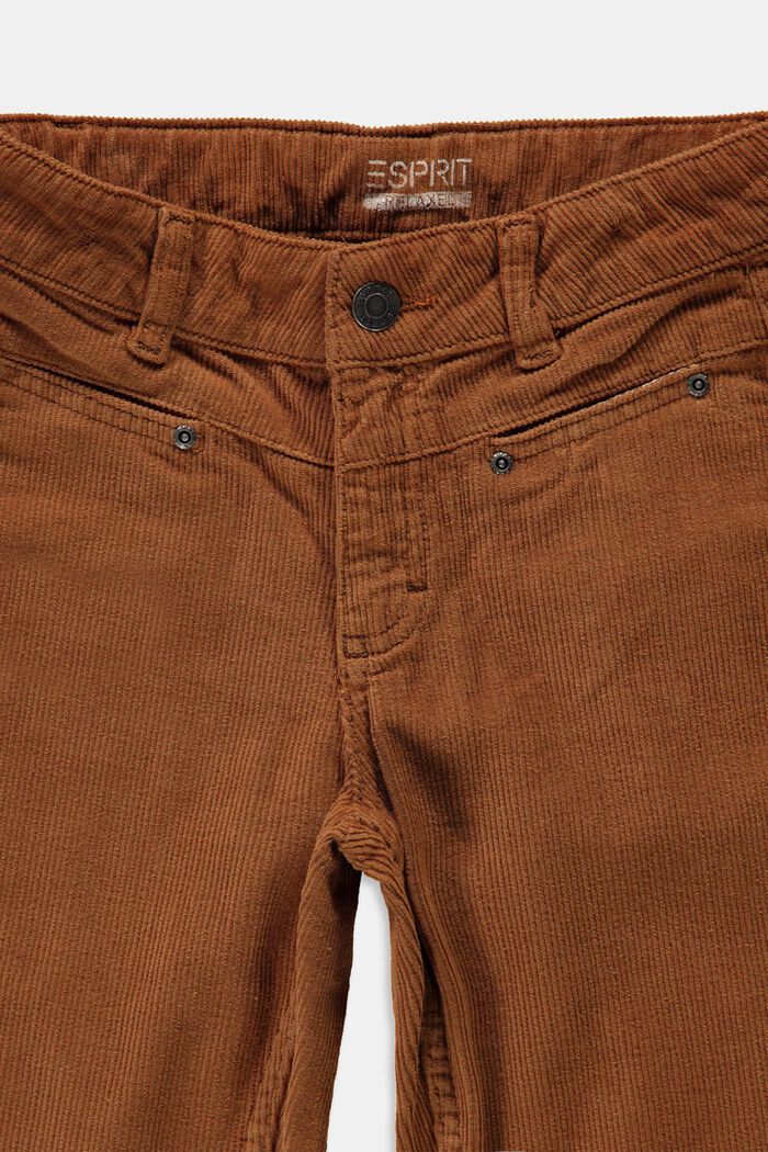 Pantalon en velours côtelé de coton, DARK BROWN, detail image number 2