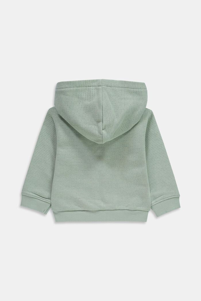Sweat-shirt à capuche zippé 100 % coton biologique, LIGHT AQUA GREEN, detail image number 1