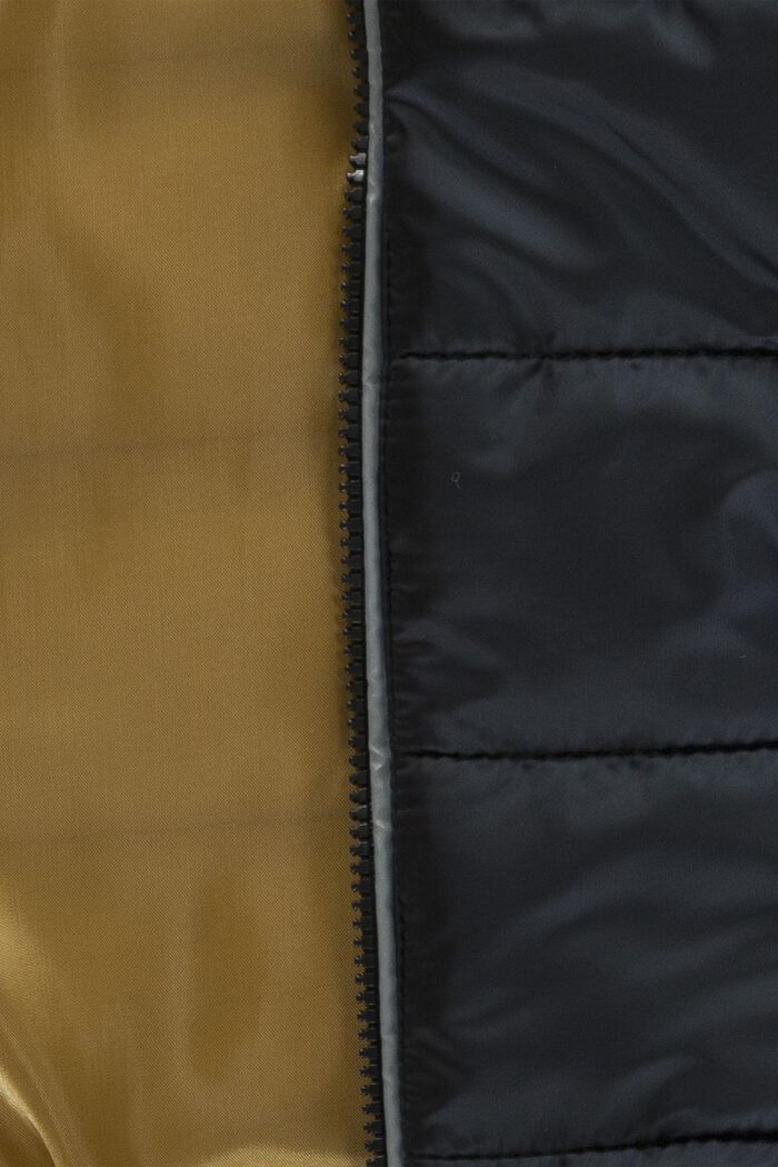 Veste matelassée à capuche, BLACK, detail image number 2