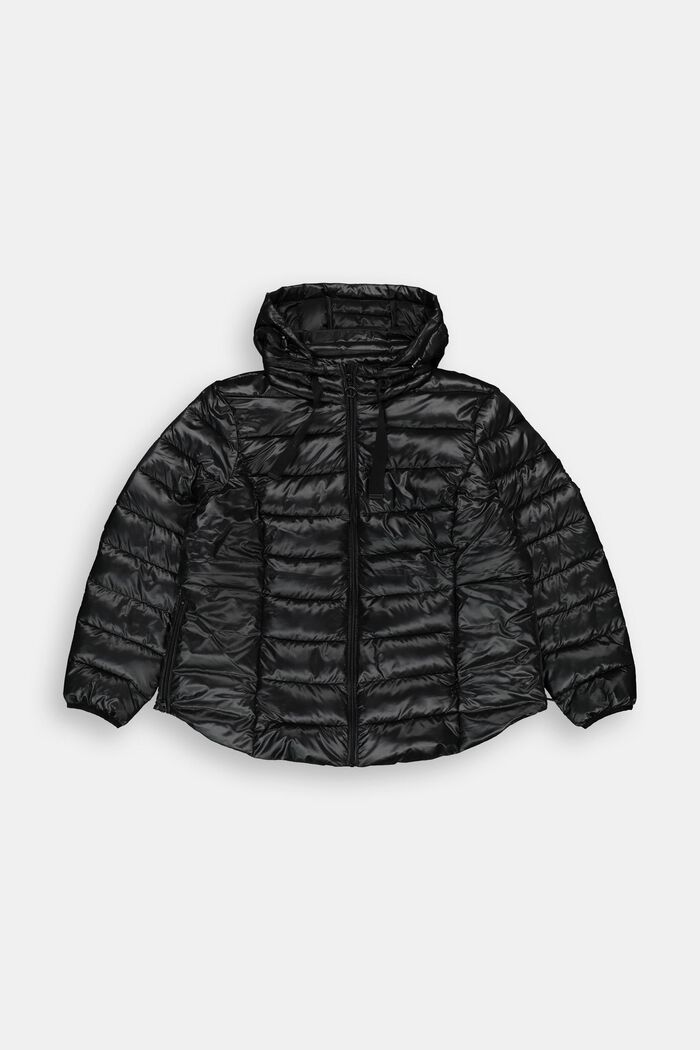 CURVY Recyclée : veste matelassée légère à capuche, BLACK, detail image number 0