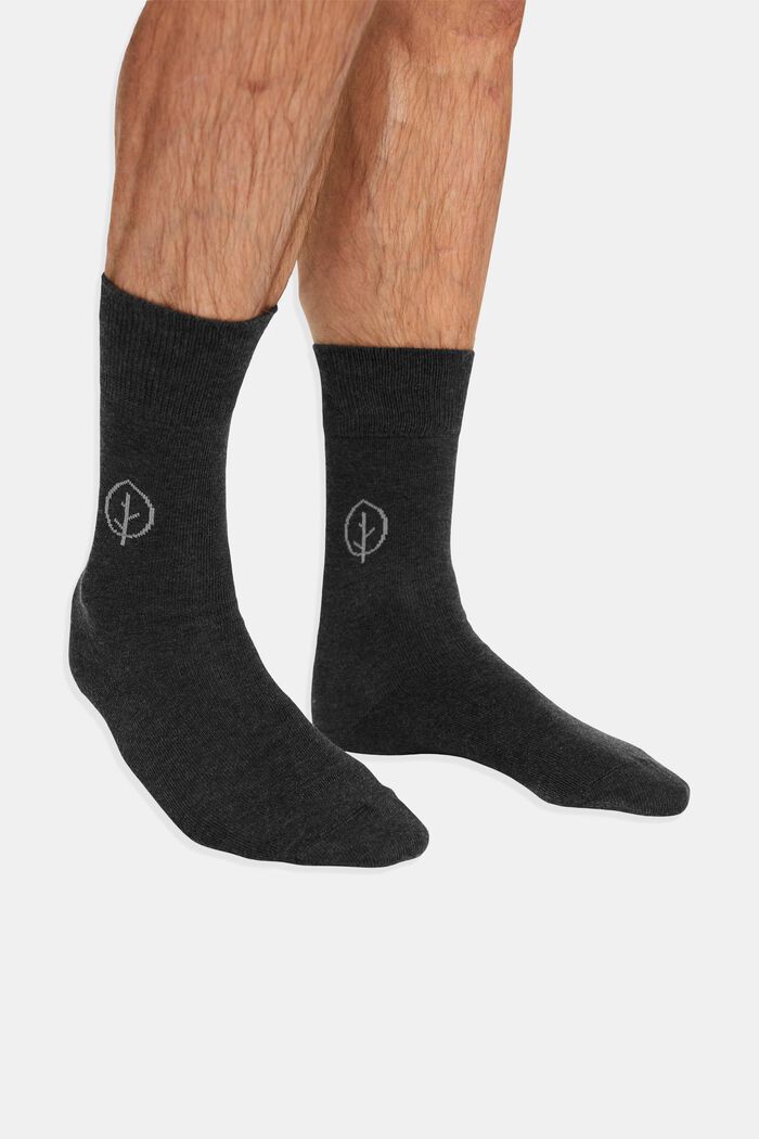 Lot de 2 paires de chaussettes tendance pour homme, BLACK, detail image number 2