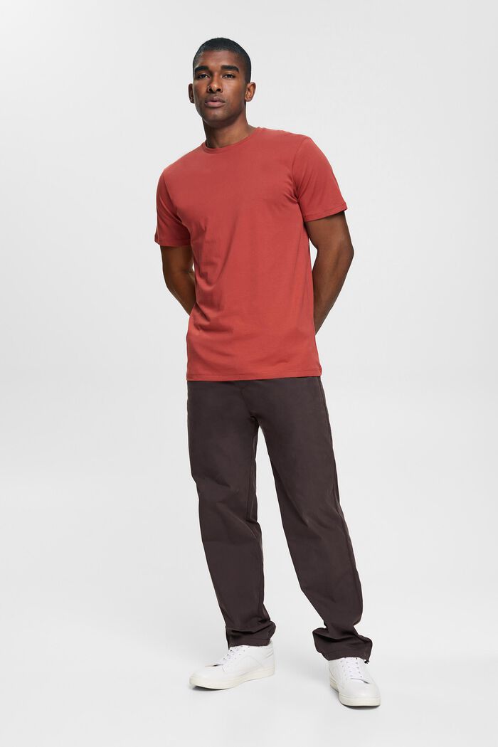 T-shirt en jersey, 100 % coton, TERRACOTTA, detail image number 4