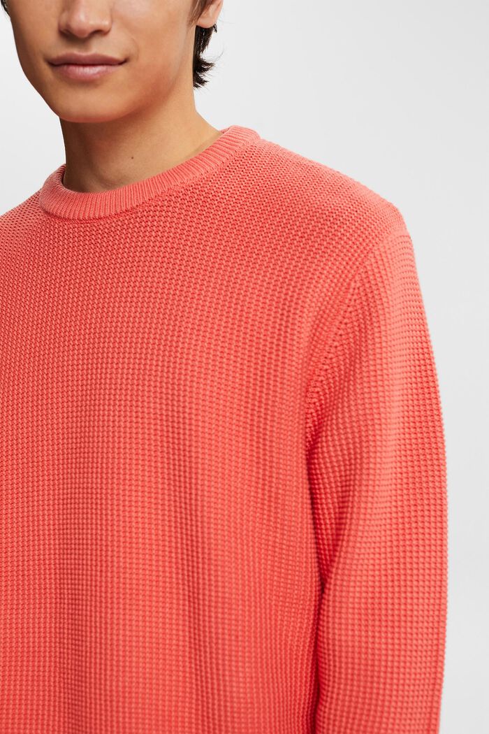 Pull-over 100 % coton, CORAL, detail image number 2