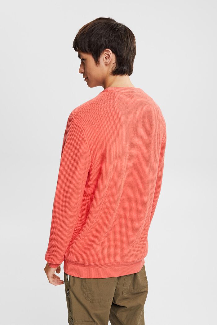 Pull-over 100 % coton, CORAL, detail image number 3