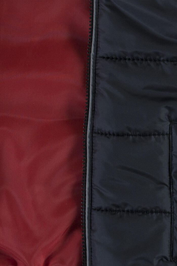 Veste à capuche matelassée, BLACK, detail image number 2