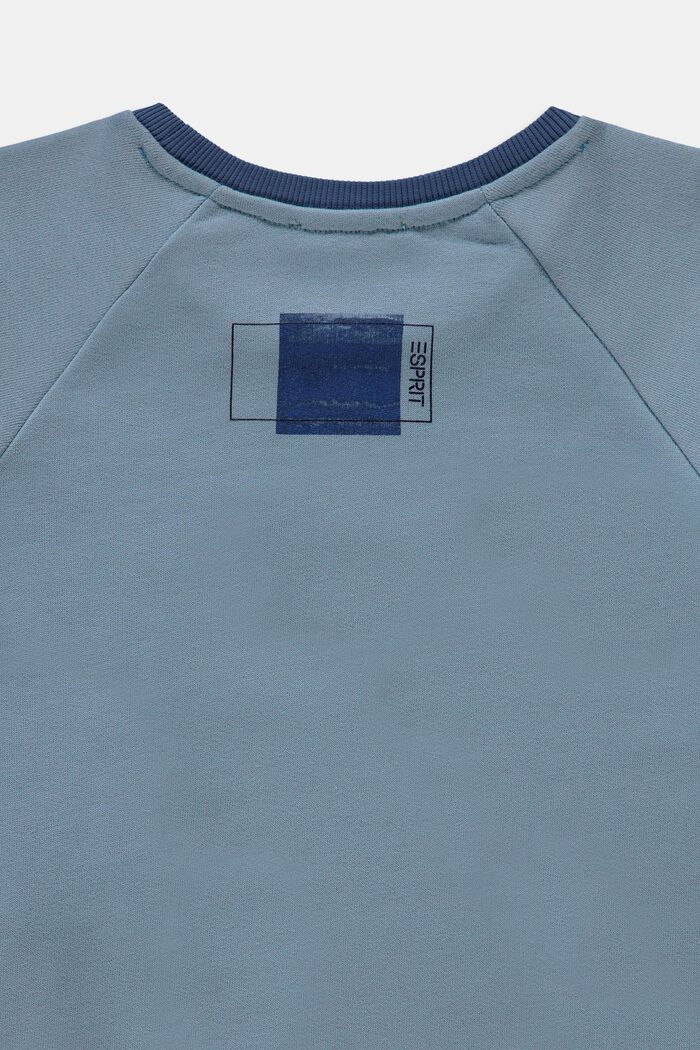 Sweat-shirt 100 % coton, LIGHT BLUE, detail image number 2