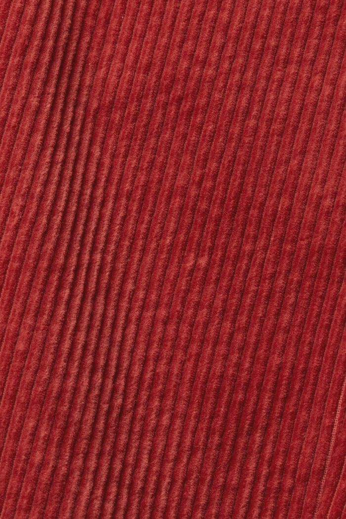 Pantalon en velours côtelé de coton, TERRACOTTA, detail image number 1