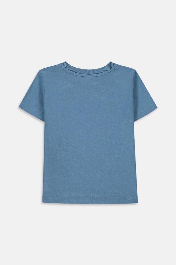 T-shirt à imprimé photo, 100 % coton, GREY BLUE, detail image number 1