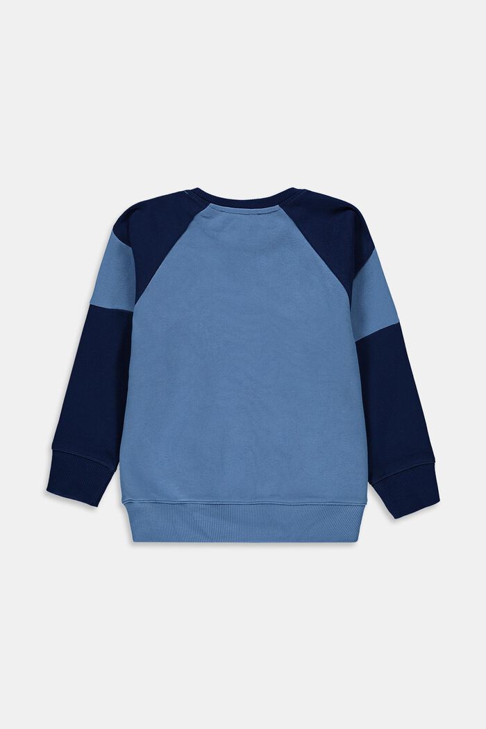 Sweat-shirt à imprimé, 100 % coton, LIGHT BLUE, detail image number 1