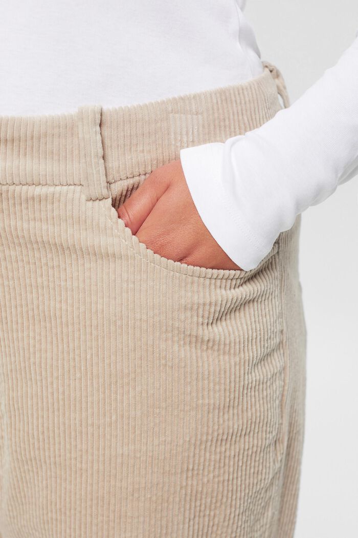 Pantalon CURVY en velours côtelé, 100 % coton, LIGHT TAUPE, detail image number 2