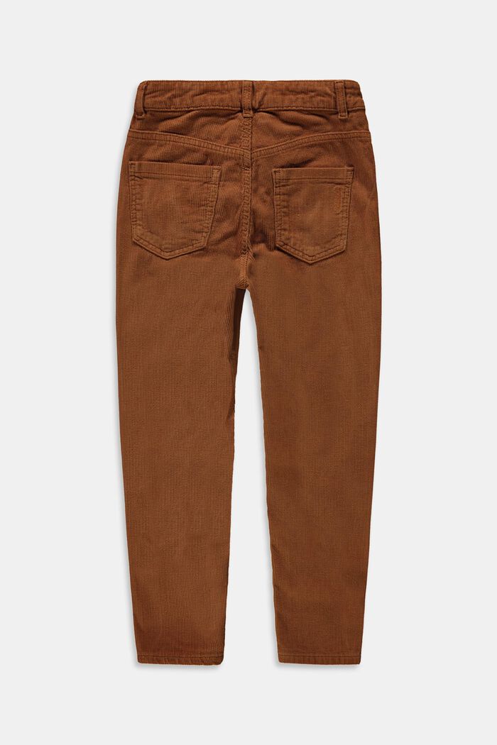 Pantalon en velours côtelé de coton, DARK BROWN, detail image number 1