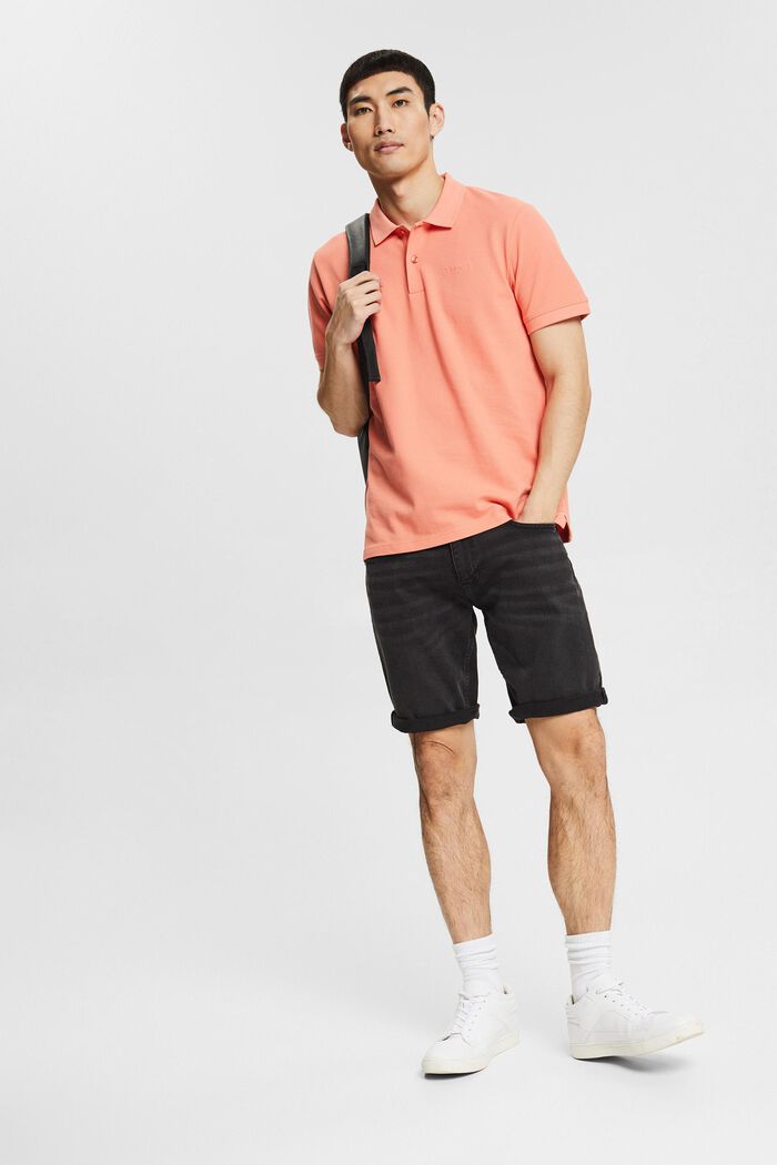 Polo, CORAL, overview