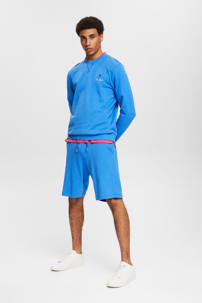 Sweat-shirt à petit motif brodé, BRIGHT BLUE, detail image number 1