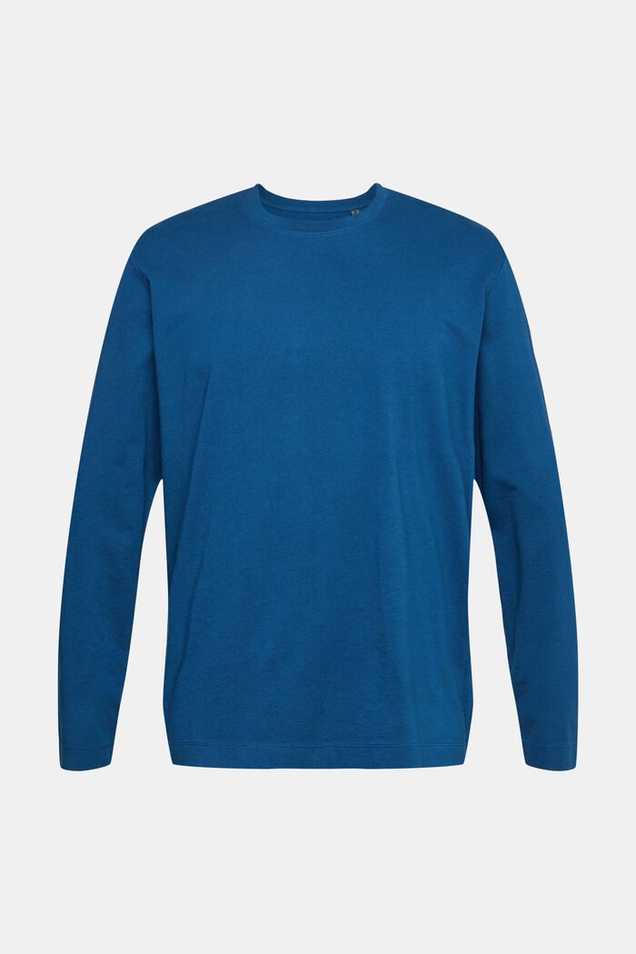 T-shirt à manches longues et col droit, PETROL BLUE, detail image number 5