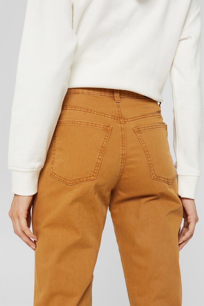 Pantalon taille haute à deux boutons, 100 % coton bio, BARK, detail image number 2
